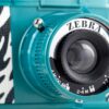 Lomography Diana F+ Zebra - Image 10