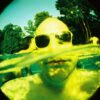 Lomography Fisheye No. 2 Shiawase - Image 9