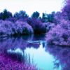 Lomography Lomochrome Purple (35mm) - Image 4