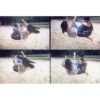 Lomography Actionsampler Transparent - Image 11