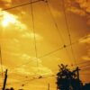 Lomography Redscale XR 50-200 (35mm) - Image 13