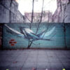 Estenopos (0.2mm) - Image 7