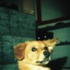 Lomography Konstruktor F - Image 9