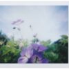 Lomo'Instant Mini Reykjavick + 3 Lentes + Splitzer - Image 16