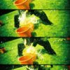Lomography Supersampler Chrome - Image 11