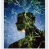 Lomo'Instant Lake Tahoe & Lentes - Image 11
