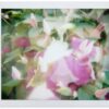 Lomo'Instant Automat, kit de Lentes - Image 12