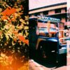 Lomography Diana Mini Picnic - Image 7