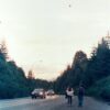 36 exp. con Kodak Vision 2 250D - Image 6