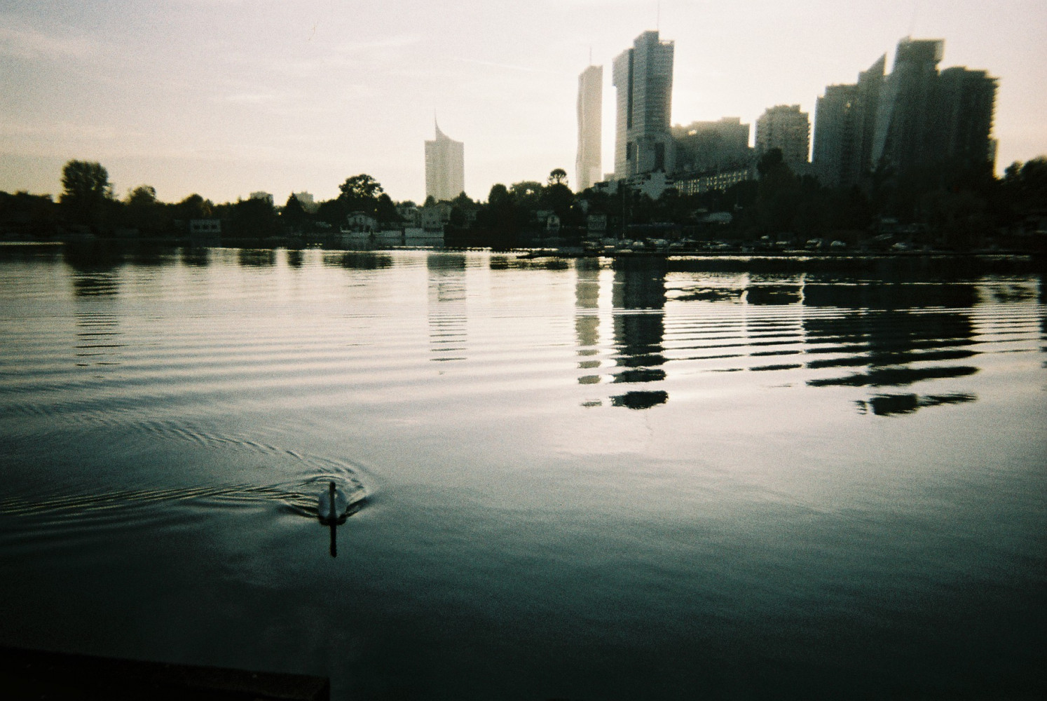 Cámara de uso Simple Lomography Lomochrome Metropolis - Image 5