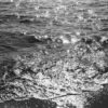 Lomography Babylin Kino ISO 13 - Image 7