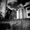 Lomography Diana Mini Picnic - Image 10