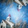 Lomography Diana Mini Picnic - Image 8