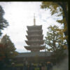 Holga 120 GCFN - Image 4
