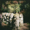 Holga 120 GCFN - Image 8