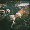 Holga 120 GCFN - Image 9